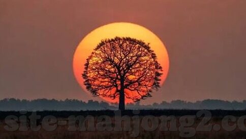 炸金花 贵阳 微信-贵阳炸金花，微信上的新潮流